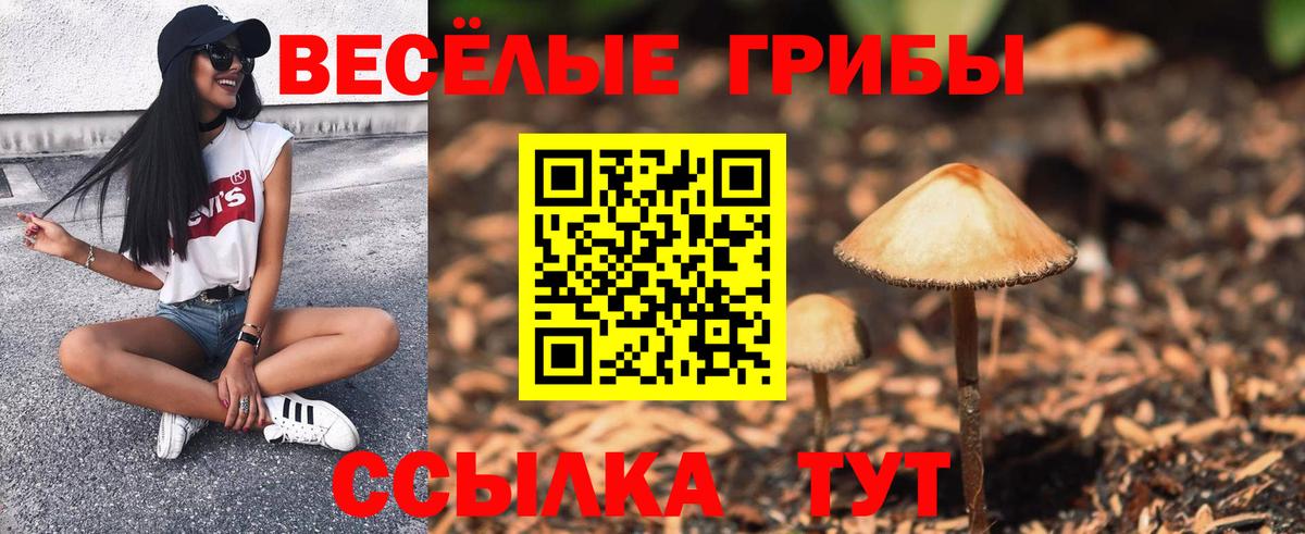 Галлюциногенные грибы мухоморы Назарово